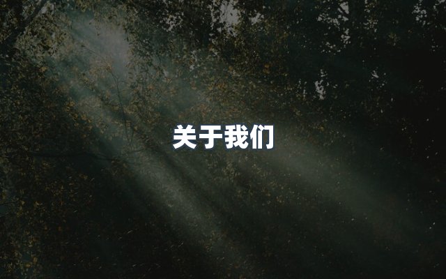 团队合作